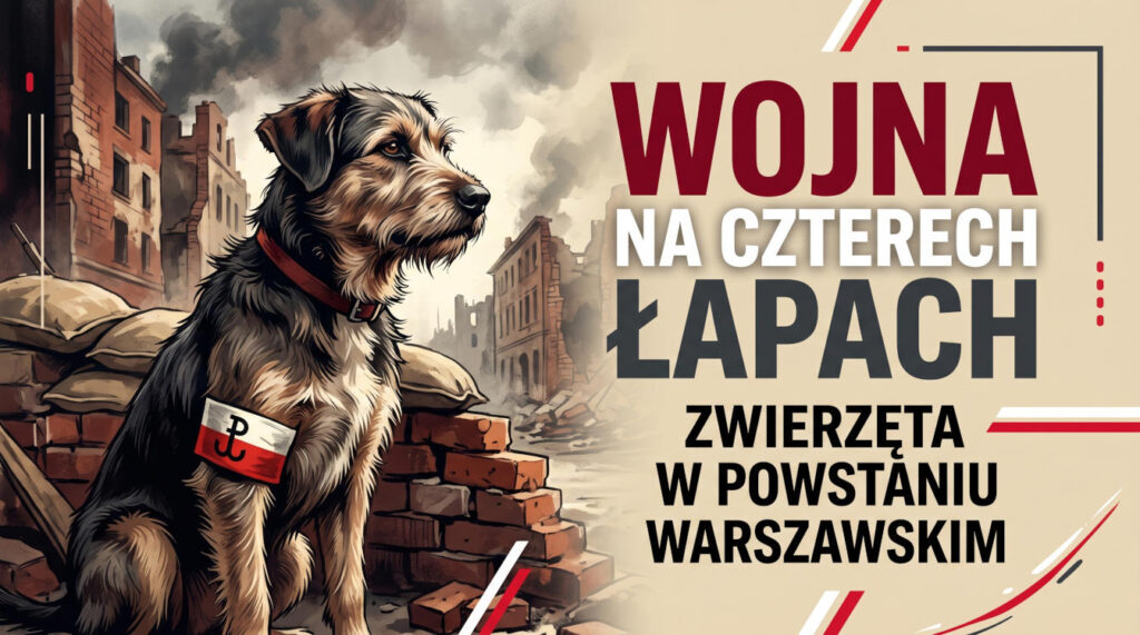 Powstanie Warszawskie Spacer Wojna na czterech łapach czyli o zwierzętach
